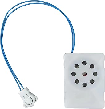 30 Second Personalize message device - pre order